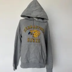 【美品】Champion パーカー HERMANTOWN HAWKS Lサイズ