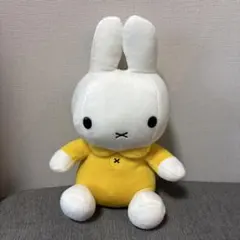 Item thumbnail for item ddd6eecf-af7c-4a24-aff8-52438c7e5d9a