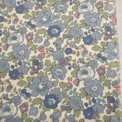 リバティ　ベッツィ HH 100B