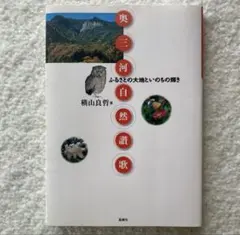 南アルプス 深南部 薮山讃歌 永野敏夫 - メルカリ