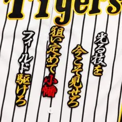 ネーム 岡田彰布 行赤/黒 刺繡 ワッペン 阪神 タイガース 岡田 896