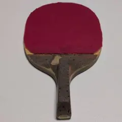 日本式ペン　Nittaku Ruforal