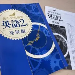 チョコ　希望価格登録　歓迎⭐️様 リクエスト 2点 まとめ商品