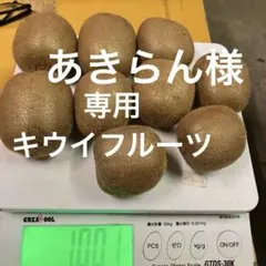 あきらん様　専用キウイフルーツ