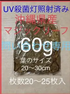 とし　大小様々　無農薬マジックリーフ　天然ももたまな葉　1000　枚 Amazon | 国産 モモタマナ マジックリーフ ドクターリーフ ベタ