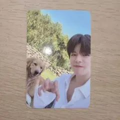 Straykids スンミン トレカ 済州島