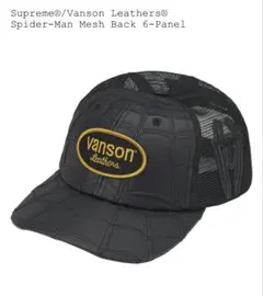 Supreme × Vanson Leathers 6-Panel 黒 Supreme × Vanson Leathers 6-Panel 黒色 - メルカリ
