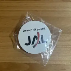 本日限定値下げ　非売品　未使用　希少　徽章　エアライン　バッジ　JAL 2025年最新】バッジ jalの人気アイテム - メルカリ