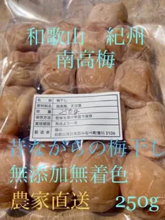 ▽農家直送！紀州南高梅 10kg 梅 無添加 和歌山 紀州 白梅 2507 和歌山 紀州 南高梅 昔ながらの梅干し 無添加 農家直送 250g - メルカリ