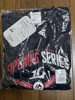 Item thumbnail for item ffeddb17-ceb5-45d9-86ac-f4d6d6f88922