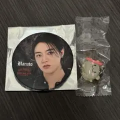 TREASURE ハルト 缶バッジ めじるしアクセサリー