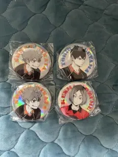 ハイキューポートレートシャイニー缶バッジ