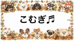 専用