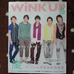 WiNK UP 2013年6月号 Vol.300