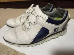 Item thumbnail for item 7590072b-767e-42bf-a501-a2eaa294f12e