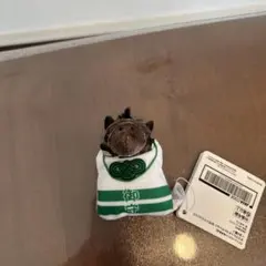 サラブレッドコレクション　お守りマスコット3 キセキ