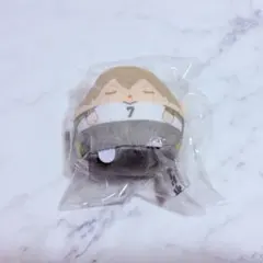 ハイキュー くじメイト E賞 てのりんず 木葉秋紀