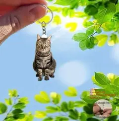 Item thumbnail for item cc44601b-4a71-4947-94a4-2170f033081c