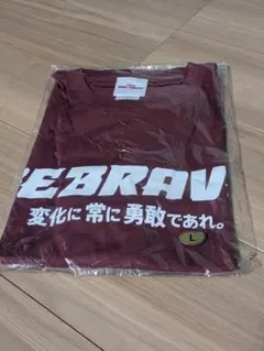 川崎ブレイブサンダース Tシャツ Lサイズ