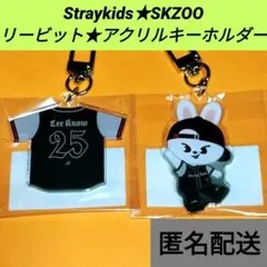 Straykids★SKZOO★リービット★カスタムアクリルキーホルダーパーツ