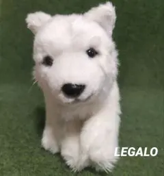 【REGALO】北海道犬 ぬいぐるみ
