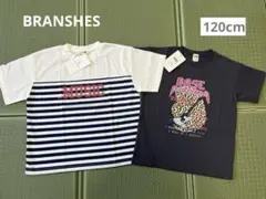 新品 2枚セット 半袖Tシャツ 120 男の子 学校 洗い替え ブランシェスのサムネイル
