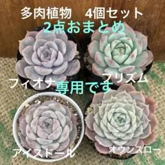 ノラちゃん❤︎様 リクエスト 2点 まとめ商品