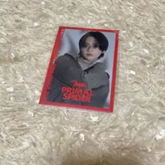 PRIMAL SPIDER フォトカ　吉野北人