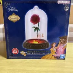 一番くじディズニープリンセスラストワン賞