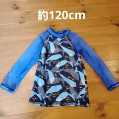 クジラとお魚柄が可愛い子供用ラッシュガード120cm位