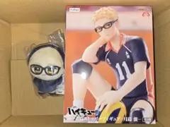 月島蛍　ぬーどるストッパー　ちびぐるみ　アニマルポンチョ