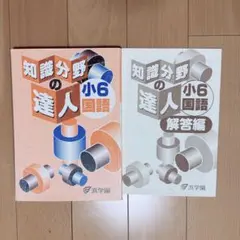 Item thumbnail for item 5436ca0c-bae7-4df8-bd7c-3f798320191d