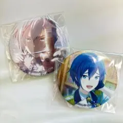 プロセカ グリッター缶バッジ グリ缶セット(モモKAITO)② - メルカリ