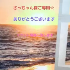 さっちゃん様ご専用☆最長8/22日までお取り置き可能☆只今1点目