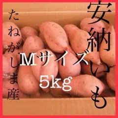 安納芋種子島産　Mサイズ5kgさつまいも安納芋 紅　#33