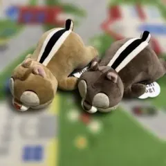 新品》　ディズニー　モチハグにぎにぎクッション　チップとデール