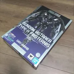METAL BUILD ガンダムアストレアTYPE-Xフィンスターニス
