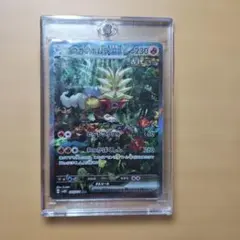 2026年最新】ウガツホムラ sar psa10の人気アイテム - メルカリ