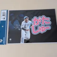北海道日本ハムファイターズ 山縣秀 プレイヤーズピンナップフォトコレクション