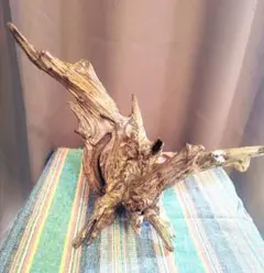 Item thumbnail for item 12db3f47-7007-40af-83de-8ba4d4ffb3f7