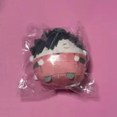 ハイキュー　くじメイト　ぬいくじ　てのりんずコレクション E賞 黒尾鉄朗