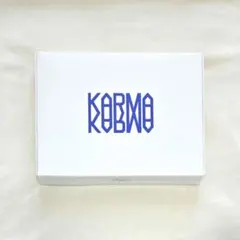 StrayKids スキズ アルバム KARMA HOORAY 白