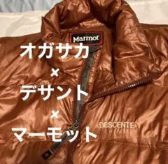 2025年最新】オガサカ デサントの人気アイテム - メルカリ