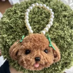 lily様専用ページ　＊うるうるおめめのトイプードル　ポンポン毛糸キーホルダー＊