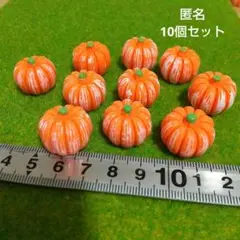 ミニチュアかぼちゃ（ハロウィン）10個セット