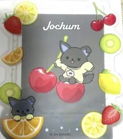 JOCHUM ピーハイ 硬質ケース　金城碧海