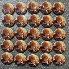 プロセカ 東雲彰人 グリッター 缶バッジ あんスタ コラボ アイドル 25個