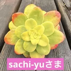 sachi-yu様 リクエスト 3点 まとめ商品