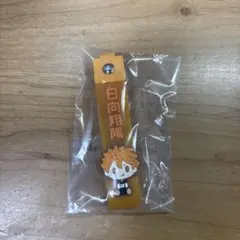 ハイキュー 日向翔陽 ぽこっとちゃーむ