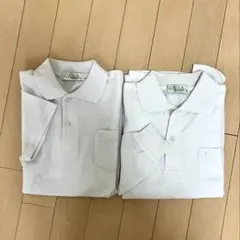 Item thumbnail for item 9448d717-f75c-4cf5-a30f-9d324b4f094b